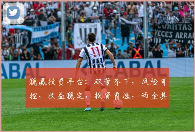 稳赢投资平台：双管齐下，风险可控，收益稳定，投资首选，两全其美策略，助您一臂之力。