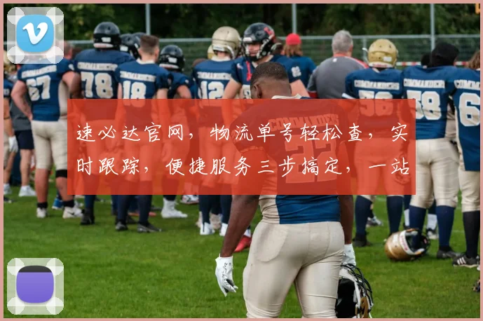 速必达官网，物流单号轻松查，实时跟踪，便捷服务三步搞定，一站式查询体验