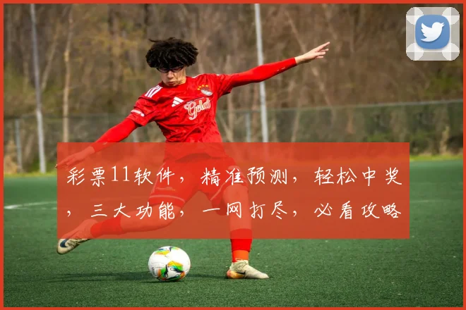 彩票11软件，精准预测，轻松中奖，三大功能，一网打尽，必看攻略，不容错过