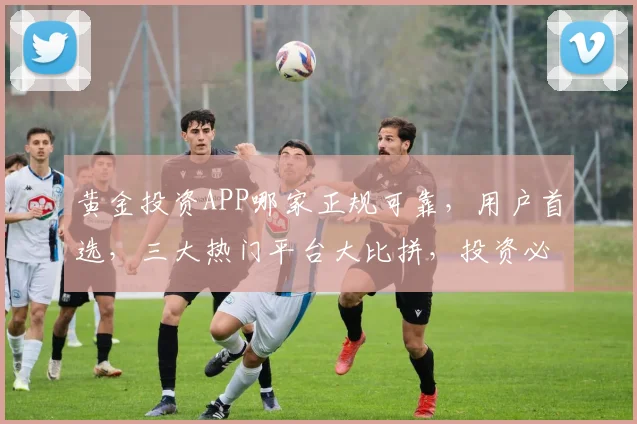 黄金投资APP哪家正规可靠，用户首选，三大热门平台大比拼，投资必备